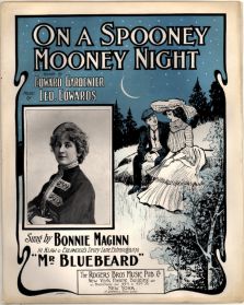 On A Spooney Mooney Night Mr Bluebeard