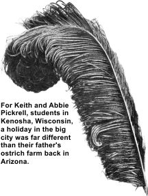 The Pickrells operated an ostrich farm