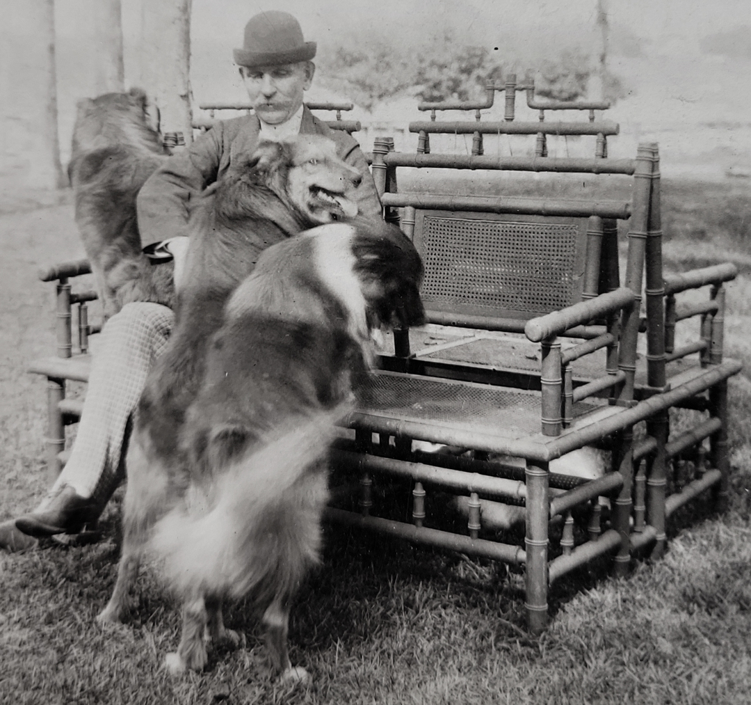 Will J. Davis with collie dogs at Willowdale farm in Crown Point, Indiana